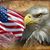 Richard Dunn's profile image