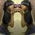 Daniesha Love's profile image