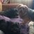Sue Bostic's profile image