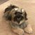 Dianne Mahar's profile image