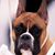 Cheryl C Robbins's profile image