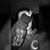 Kylie Voyda's profile image