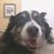 Kelly Sommer's profile image