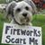 Sheri Jensen Corgan's profile image