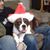 Bill Westphal's profile image