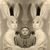 Jill Potts Baker's profile image