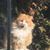 Lisa Bauer Baker's profile image