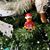 Mark A Hardy's profile image
