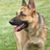 Renee Crawford Stucki's profile image