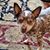 Carrie Beavers Myers's profile image