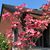 Diane Millett's profile image