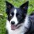 Kim Yeager Lippolis's profile image