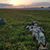 Tammy Hagy Surrett's profile image