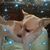 Misty Morin's profile image