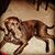 Kristina LaRocca's profile image