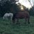 Kelly Lester Kelly's profile image
