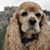 Connie Randolph's profile image