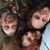 Colleen Eisan's profile image