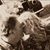 Linda Curbow Denney's profile image