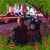 Carla Braus's profile image