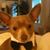 Brenda Clark's profile image
