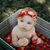 Annie Cruz Mendieta's profile image
