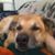 Lois Marie Hudson-Fay's profile image