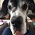 Christie Maggard's profile image