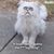 Joshua James Eberhardt's profile image
