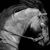 Scott Villio's profile image