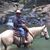 Dan McInnis's profile image
