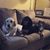 Steph Sullivan Caramiello's profile image