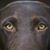 David James's profile image