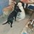 Bonnie Hart Bright's profile image