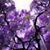 Lopes Luis Andre's profile image