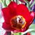 Christina Turner-Welty's profile image