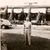 Susan Smith Cox's profile image