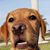 Kimberley Sue Dusenbury Gaide's profile image