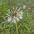 Miranda Colligan's profile image
