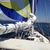Barbara Seeger's profile image