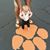 Casey Moore's profile image