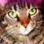 Bonita Fraser's profile image