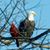 Kelley Lynn Callis's profile image