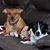 Lena Sepe Frankel's profile image