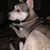Monica Peck Patton-Feiler's profile image