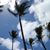 Sue Roseberry's profile image