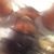 Shanae Seastrunk's profile image