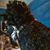 Bobbie Stanton's profile image