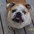 Russell Dinsmore's profile image