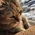 Maggie Carter's profile image